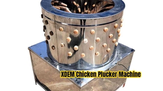 XDEM Commercial Chicken Plucker Machine 60 Barrel Inox Steel Poultry Depiler for Chicken Duck