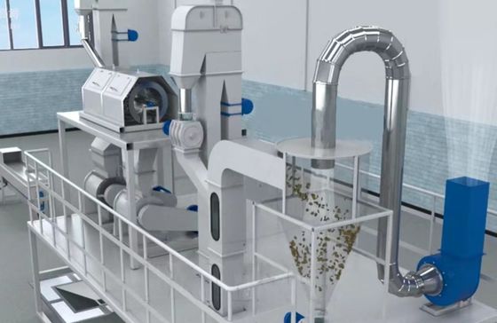 XDEM Παλμικό πυρήνα Shell Peeling Crushing Oil Press Machine Αυτοματοποιημένο σύστημα ραγισμού και διαχωρισμού παλμικών καρπών