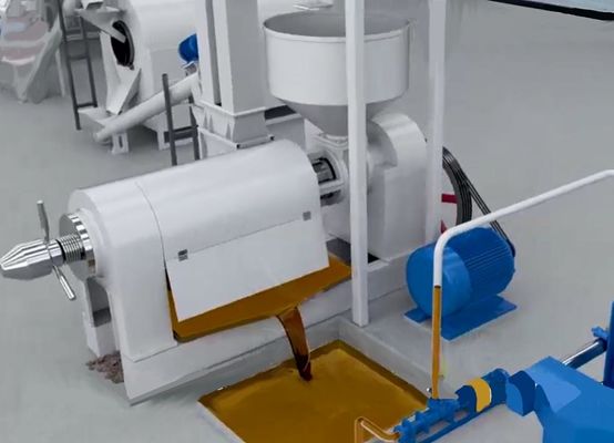 XDEM Παλμικό πυρήνα Shell Peeling Crushing Oil Press Machine Αυτοματοποιημένο σύστημα ραγισμού και διαχωρισμού παλμικών καρπών