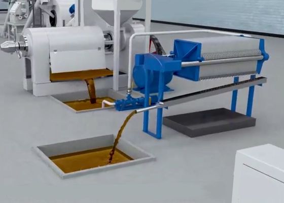 XDEM Παλμικό πυρήνα Shell Peeling Crushing Oil Press Machine Αυτοματοποιημένο σύστημα ραγισμού και διαχωρισμού παλμικών καρπών